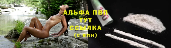амф Дмитровск