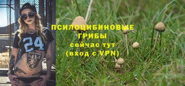 прущая мука Дмитриев