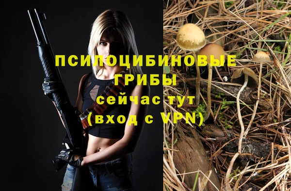 амф Дмитровск