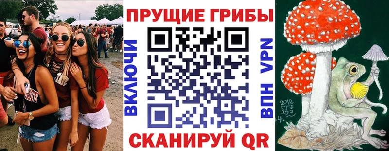 Псилоцибиновые грибы мухоморы Купить закладки Артёмовск